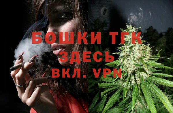 ALPHA PVP Покров