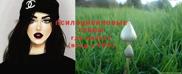 ALPHA PVP Покров