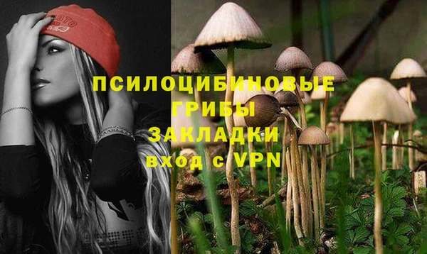 тгк Покачи
