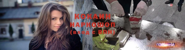 ALPHA PVP Покров