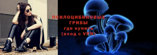 ALPHA PVP Покров
