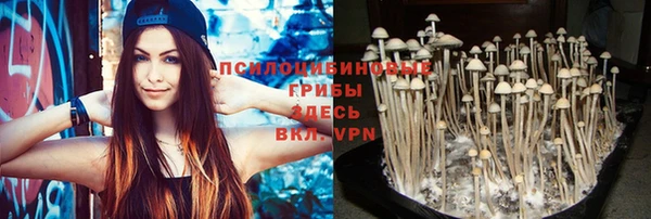 ALPHA PVP Покров