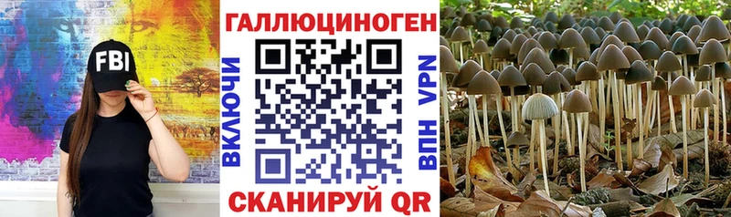 Псилоцибиновые грибы Psilocybine cubensis  Купить  Семёнов 