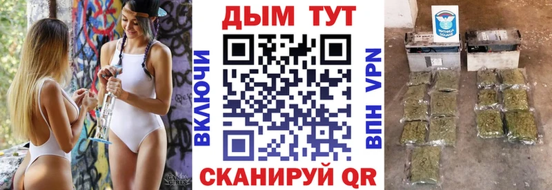 Каннабис Amnesia  Купить  Семёнов 